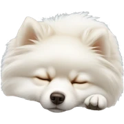 Sleeping white pomeranian sticker