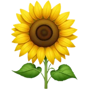 Sunflower  sticker