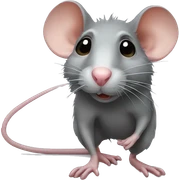 Rat sticker