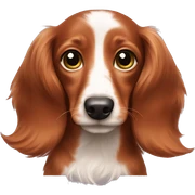 red longhair dachshund puppy sticker