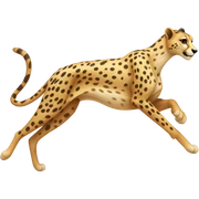 Cheetah sticker