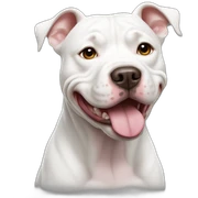 white pitbull sticker