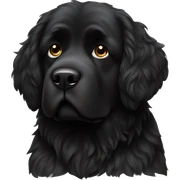 Black Newfoundland dog female sticker