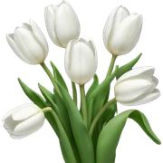 White tulips  sticker