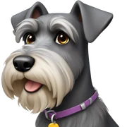 Schnauzer sticker