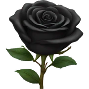 Black rose sticker