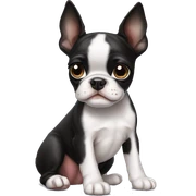 Boston terrier puppy sticker