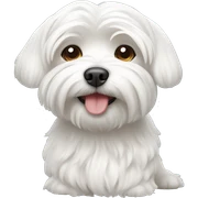 maltese dog sticker