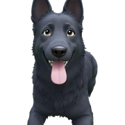 playful dog in grassy field sticker