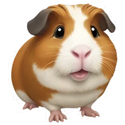 guinea pig sticker