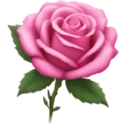 pink rose sticker