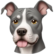 Gray Pitbull sticker