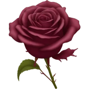 burgundy rose sticker