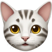 cat sticker