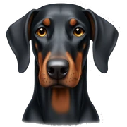 doberman sticker