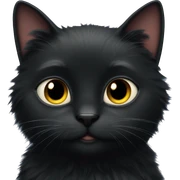 Really fluffy black cat sticker