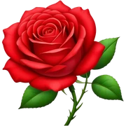 Red rose sticker
