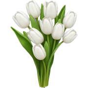 white tulip bouquet  sticker