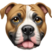 American bully sticker
