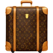 Louis Vuitton luggage sticker