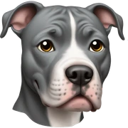 Gray Pitbull sticker