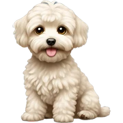 Maltipoo  sticker