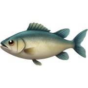 Fish sticker