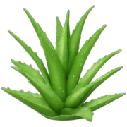 Aloe vera sticker