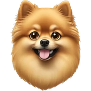 pomeranian sticker