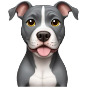 Gray Pitbull sitting  sticker