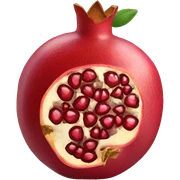 pomegranate  sticker
