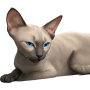 realistic blue eyed cat sticker