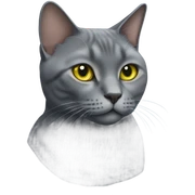Full body portrait of a chartreux cat sticker