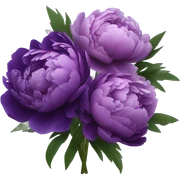 composition of purple peonies sticker