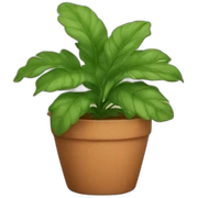 Pot sticker