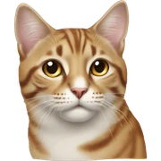 Кот Симба  sticker