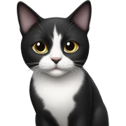black and white cat sticker