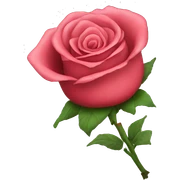 Hard with a rose sticker