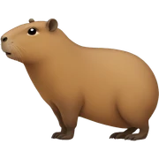 Capybara sticker