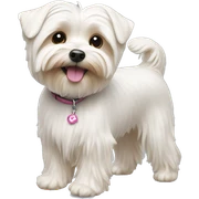 White morkie  sticker