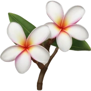 Frangipani  sticker