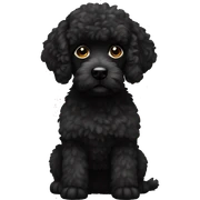 Black caniche  sticker