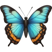Butterfly  sticker