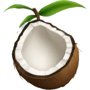 coconut fruit sticker