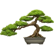 bonsai sticker