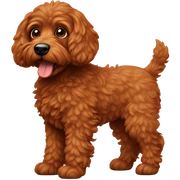 red miniature doodle dog sticker