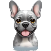 grey merle french bulldog sticker