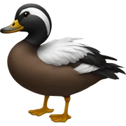 pato sticker
