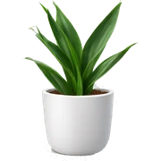 Snake plant in white pot sticker