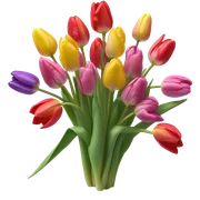 Tulips  sticker